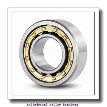 130 mm x 230 mm x 64 mm  KOYO NUP2226 cylindrical roller bearings