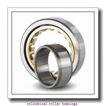 ISO HK253315 cylindrical roller bearings