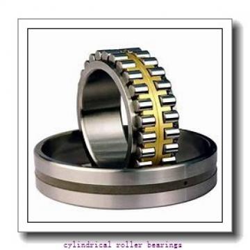 30 mm x 55 mm x 19 mm  NSK NN3006MB cylindrical roller bearings