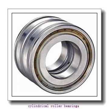 110 mm x 170 mm x 28 mm  NSK N1022BMR1KR cylindrical roller bearings