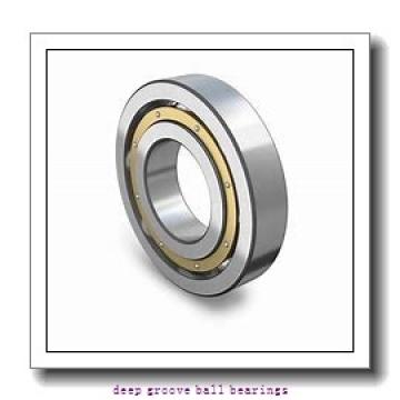 AST 6005-2RS deep groove ball bearings