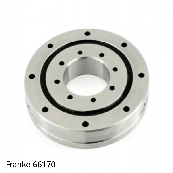 66170L Franke Slewing Ring Bearings