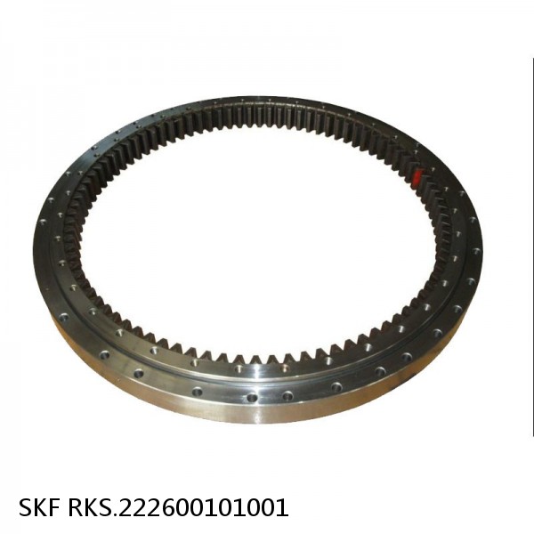 RKS.222600101001 SKF Slewing Ring Bearings