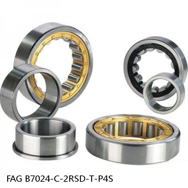 B7024-C-2RSD-T-P4S FAG high precision bearings