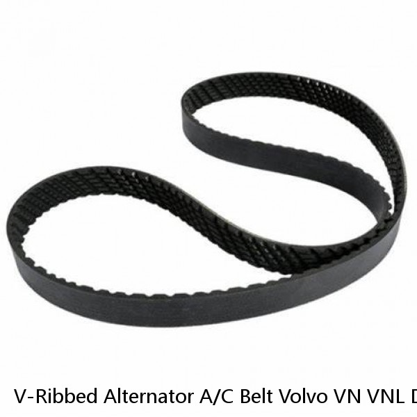V-Ribbed Alternator A/C Belt Volvo VN VNL D13 Engine 20545619 8PK1601