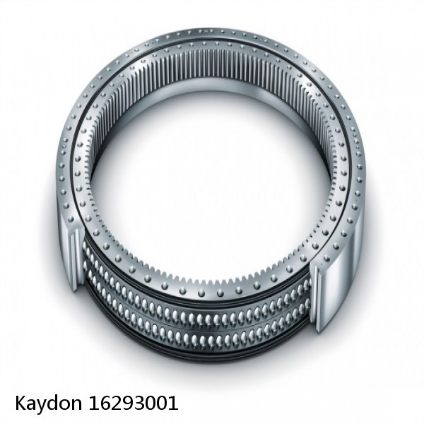 16293001 Kaydon Slewing Ring Bearings