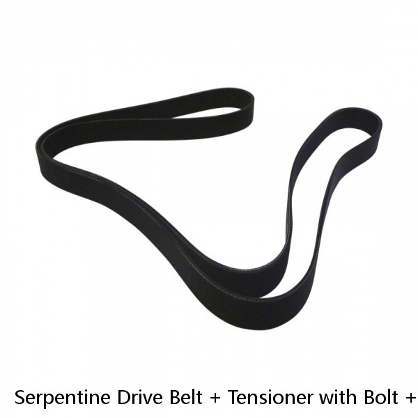 Serpentine Drive Belt + Tensioner with Bolt + Idler Pulley Kit for select BMW